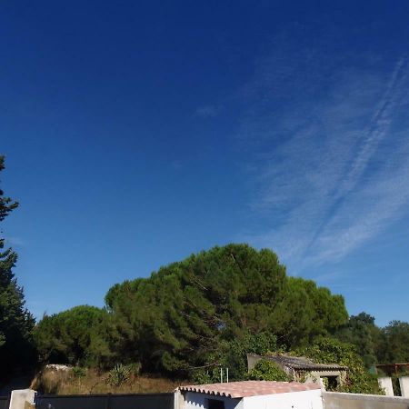 Joli Mazet Entre Montpellier Et Nimes Apartment Aimargues Luaran gambar