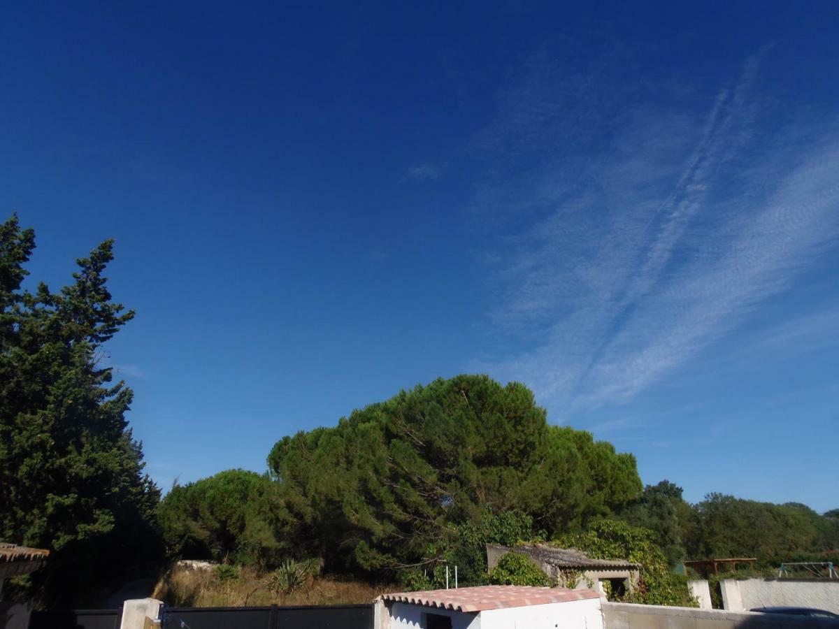 Joli Mazet Entre Montpellier Et Nimes Apartment Aimargues Luaran gambar